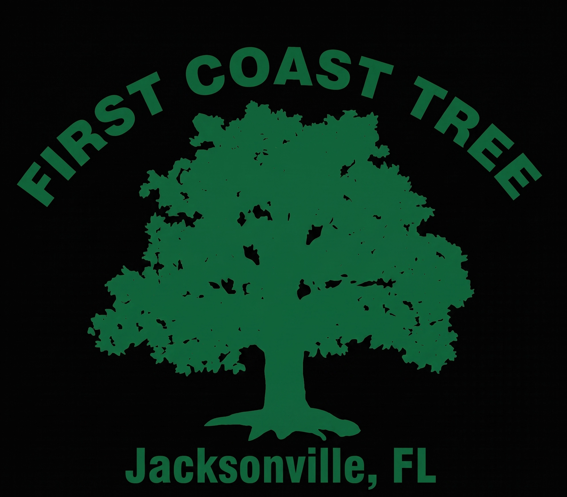 Tree Maintenance in Jacksonville Florida